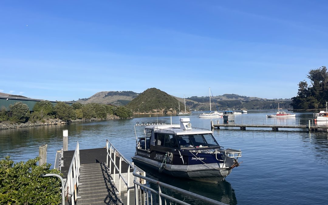 Portobello Wharf & Otepoti Ferry